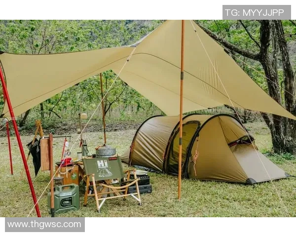 帐篷之美：探索野外露营中的温馨与自由